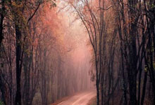 江南体育-包含自行车夜战：徽州银狐队逆转皖南猎隼队，主帅临场妙招目标直指冠军的词条